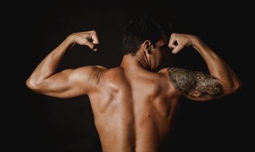 Back Muscles