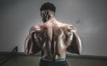 Chest Workout