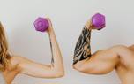 Nutrition for muscles