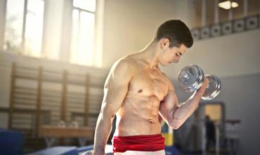 muscle-groups-cyvigor