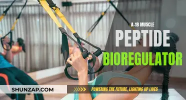 Muscle Peptide Bio Regulators: The Secret to Youthful Energy