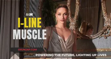 The Ultimate Guide to A-Line and I-Line Muscles