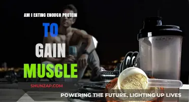 Maximize Muscle Growth: Are You Consuming Enough Protein?
