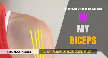 Joint or Muscle Pain in Biceps: How to Identify the Source