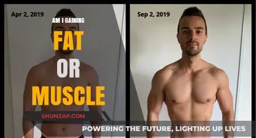Fat or Muscle: Understanding Your Body's Composition Changes