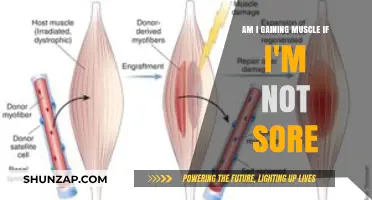 No Pain, No Gain? Understanding Muscle Growth Without Soreness