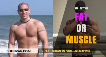 Body Composition Changes: Understanding Fat and Muscle Gain