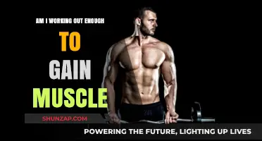 Is Your Workout Routine Effective for Muscle Gain? Find Out