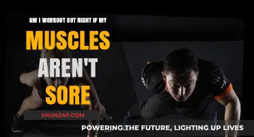 No Pain, No Gain? Debunking Muscle Soreness Myths in Workouts