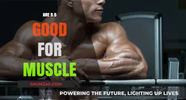 Is 5x5 Training Effective for Building Muscle Mass?
