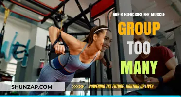 Is Six Exercises Per Muscle Group Excessive for Optimal Growth?