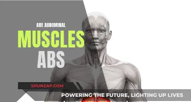 The Truth About Abs and Abdominal Muscles