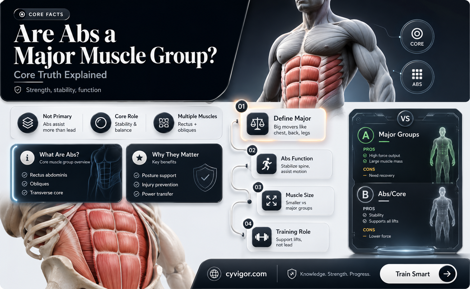 are abs a big muscle group