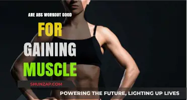 Are Abs Workouts Effective for Building Muscle Mass?