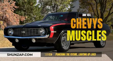 Chevy's Muscle Car Legacy: All Models Flexing?