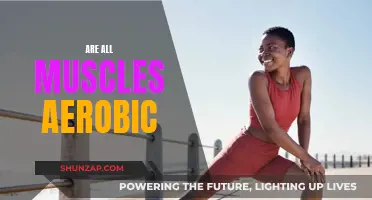 The Truth About Aerobic Nature of Muscles