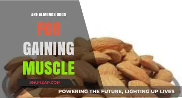 Almonds and Muscle Gain: Nutritional Benefits for Strength Building