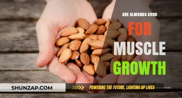 Almonds and Muscle Growth: Unlocking Nutritional Benefits for Strength Gains