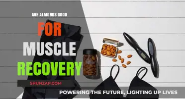 Almonds and Muscle Recovery: Nutritional Benefits for Post-Workout Repair