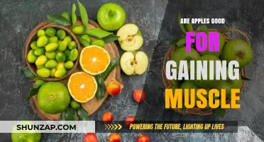 Apples and Muscle Gain: Unlocking the Surprising Benefits of This Fruit