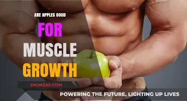 Apples and Muscle Growth: Unlocking the Nutritional Benefits for Strength