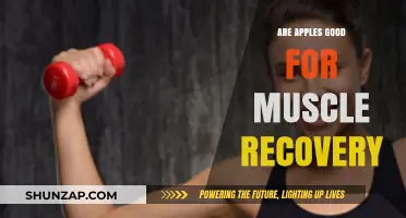 Apples and Muscle Recovery: Unlocking Post-Workout Nutrition Benefits