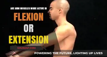 Flexion vs. Extension: Which Activates Arm Muscles More Effectively?