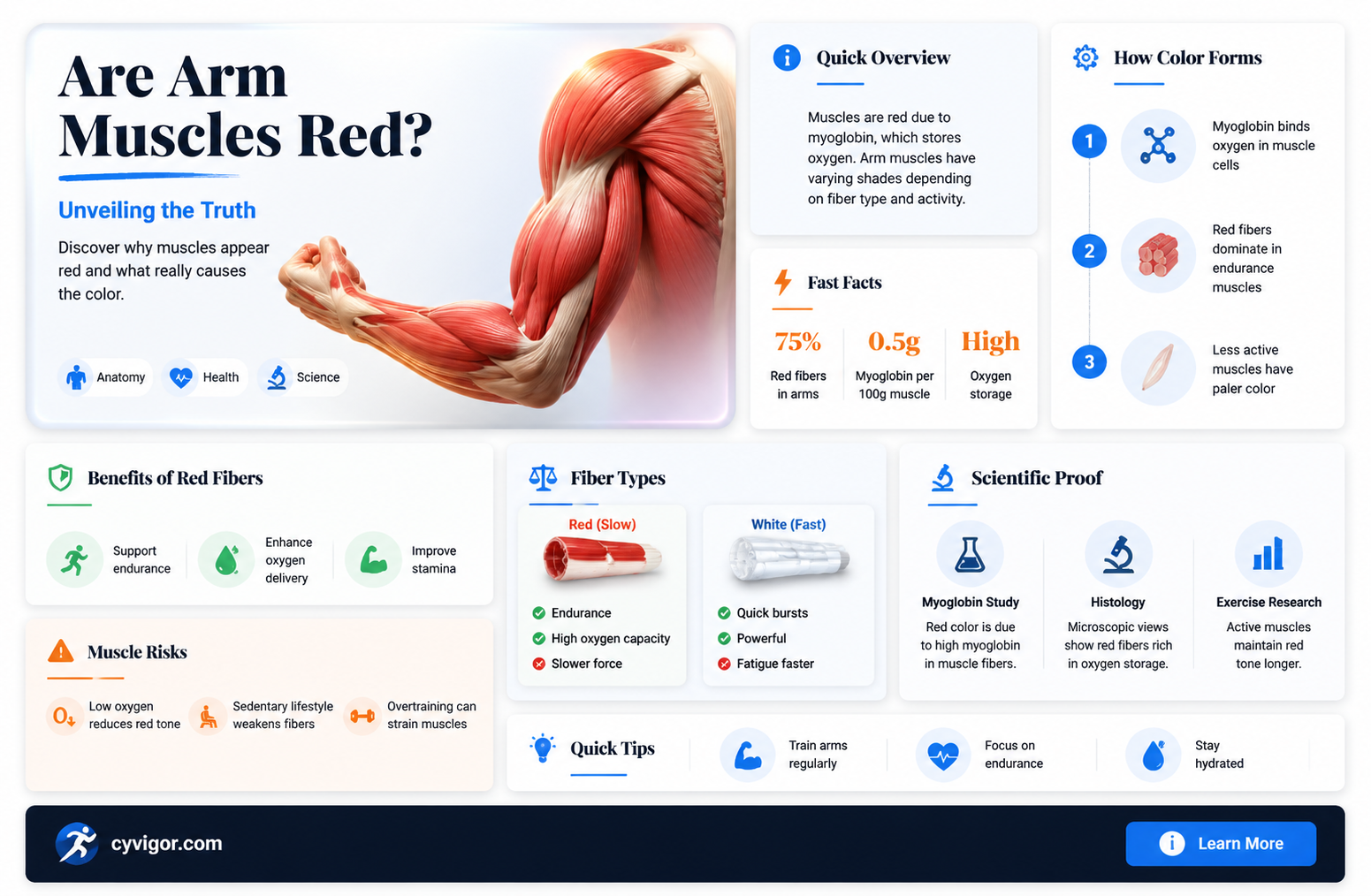 are arm muscles red