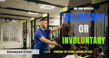 Understanding Arm Muscles: Voluntary or Involuntary Control Explained