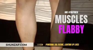 Atrophied Muscles: Flabby or Not? Understanding Muscle Loss