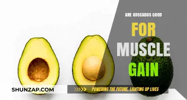 Avocados and Muscle Gain: Unlocking Nutrient-Rich Benefits for Strength