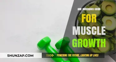 Avocados and Muscle Growth: Unlocking Nutritional Benefits for Strength Gains
