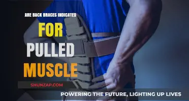 Are Back Braces Effective for Pulled Muscle Recovery? Expert Insights