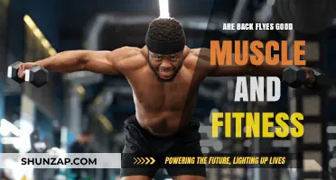Back Flyes: Effective Exercise for Muscle Strength and Fitness?