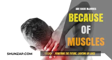 Unraveling the Myth: Back Injuries and Muscle Blame