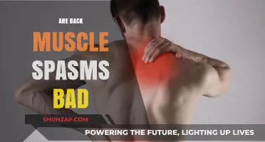Understanding Back Muscle Spasms: Causes, Symptoms, and Effective Relief Methods