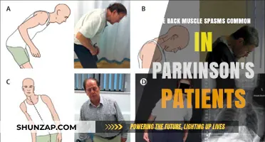 Understanding Parkinson's: The Prevalence of Back Muscle Spasms