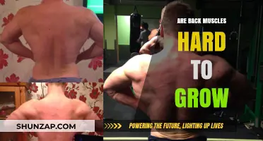 Unleashing the Potential: Strategies for Developing Strong Back Muscles