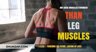 Unraveling the Myth: Back Muscles vs. Leg Muscles Strength