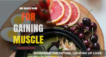 Bagels for Muscle Gain: A Carb-Loaded Fitness Fuel?