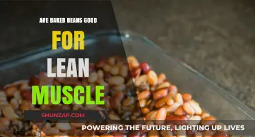 Baked Beans for Lean Muscle: A Nutritional Powerhouse or Myth?