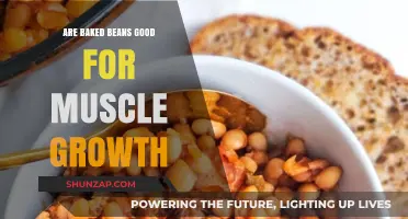 Baked Beans and Muscle Growth: A Nutritional Powerhouse?