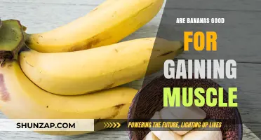 Bananas and Muscle Gain: A Potassium-Packed Post-Workout Powerhouse?