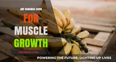 Bananas and Muscle Growth: Unlocking Nature's Potassium-Rich Powerhouse