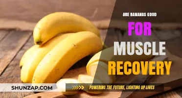 Bananas and Muscle Recovery: A Natural Post-Workout Boost?