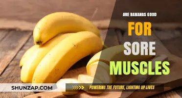Bananas and Muscle Recovery: Do They Ease Sore Muscles?