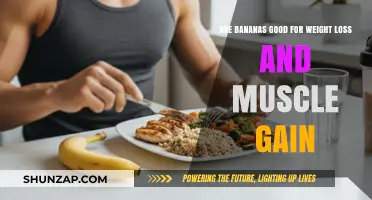 Bananas for Weight Loss and Muscle Gain: Fact or Fiction?