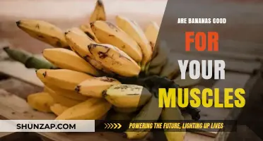 Bananas and Muscle Health: Unlocking Potassium-Powered Strength Benefits