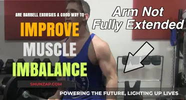 Barbell Exercises: Effective Solution for Correcting Muscle Imbalance?
