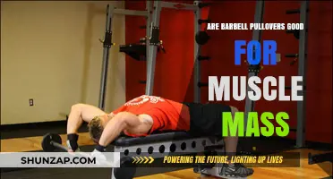 Barbell Pullovers: Effective for Muscle Mass or Overhyped Exercise?